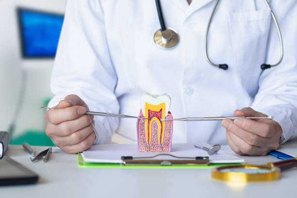 Professional Emergency Dental Service in NM